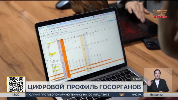 Цифровой профиль госорганов разрабатывает Минфин