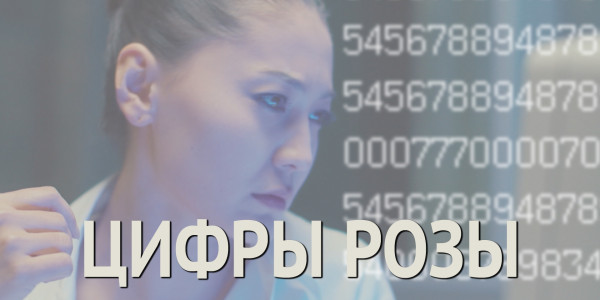 &laquo;За что я люблю Казахстан и казахстанцев&raquo;. Цифры розы