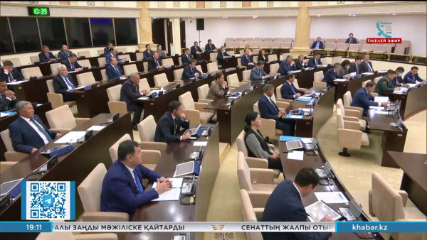 Сенат екі заңды мақұлдады