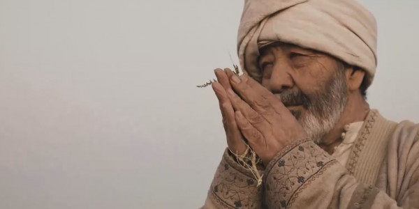 Документальный фильм об аль-Фараби выйдет на телеканале &laquo;Хабар&raquo;