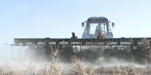 Благотворительную помощь фермерам призывает оказать МСХ РК