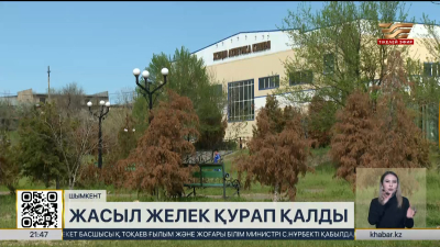 Жаз басталмай Шымкенттегі жасыл желектер құрғап жатыр