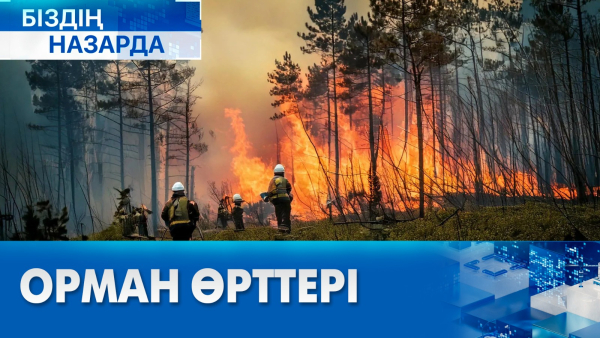 Орман өрті: себеп пен салдар | Біздің назарда