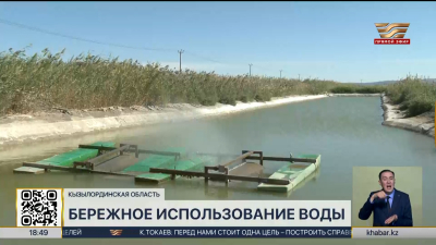 Как в Кызылординской области экономят воду и повышают урожайность