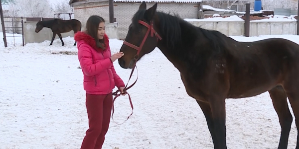 Қостанайда жас қыз жылқы өсірумен айналысады