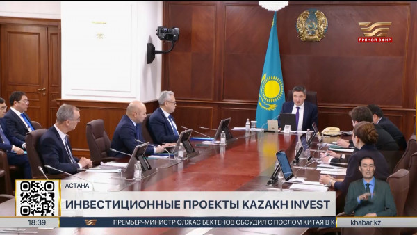 Свыше 20 инвестиционных проектов реализовали в РК