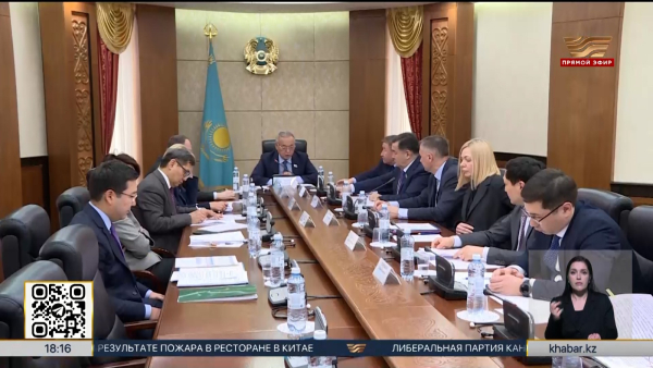 Проблемы управления средствами Нацфонда рассмотрели депутаты Сената