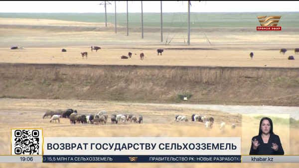 Почти ₸29 млрд направлено на 34 научные программы