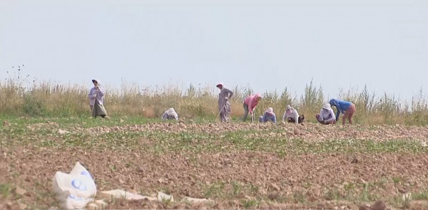 Түркістан облысының диқандары егіс алқабын суғара алмай отыр