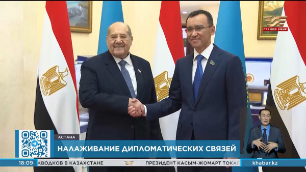 Маулен Ашимбаев встретился с Председателем Сената Парламента Египта