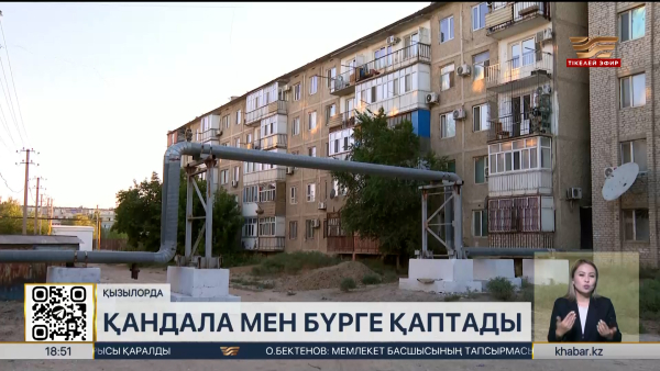 Қызылордадағы көпқабатты үйлерде қандала мен бүрге қаптады