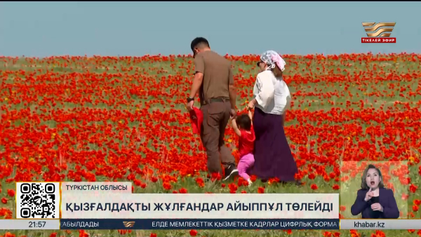 Түркістан облысында қызғалдақтарды қорғау шаралары күшейтілді