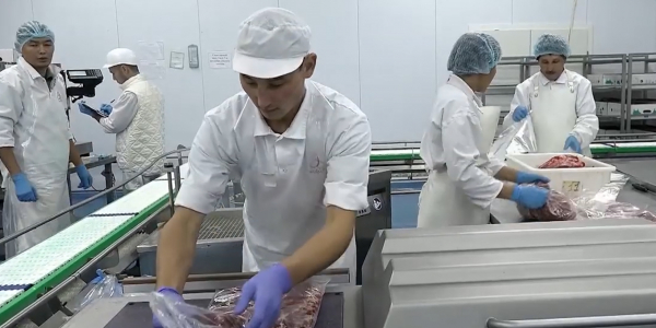 Расширенное заседание коллегии по итогам деятельности за 2018 год пройдет в МСХ РК