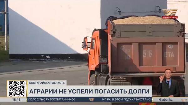 Долги по товарным кредитам не успевают погасить аграрии Костанайской области