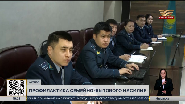Раннему выявлению семейно-бытового насилия обучают специалистов в Актобе