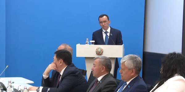 Мәулен Әшімбаев Алматы облысы мәслихатының депутаттарымен кездесті