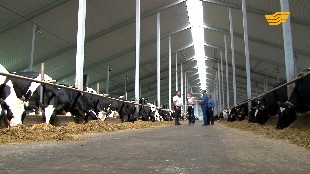 &laquo;Продвопрос&raquo;. День работника сельского хозяйства