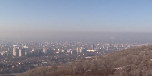 В Казахстане ужесточат наказание за незаконную вырубку деревьев