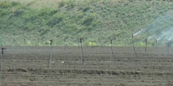 Фермерам не хватает воды для полива урожая