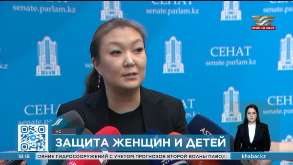 В Сенате ответили на опасения общественников и блогеров