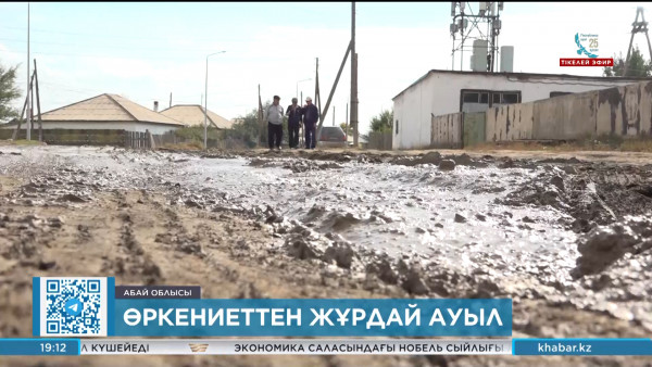 Аягөзде мыңнан астам тұрғын толарсақтан саз кешіп жүр