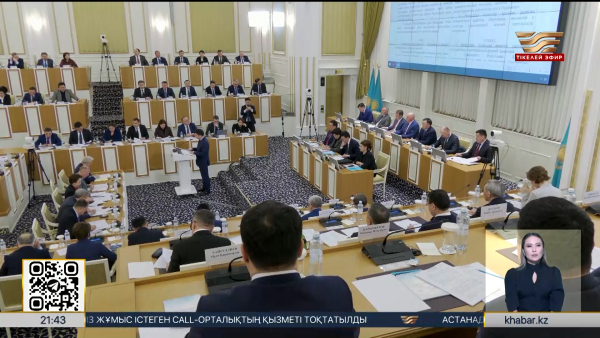 Конституциялық реформа жөніндегі комиссия бірпалаталы Парламенттің рөлін жіті қарады