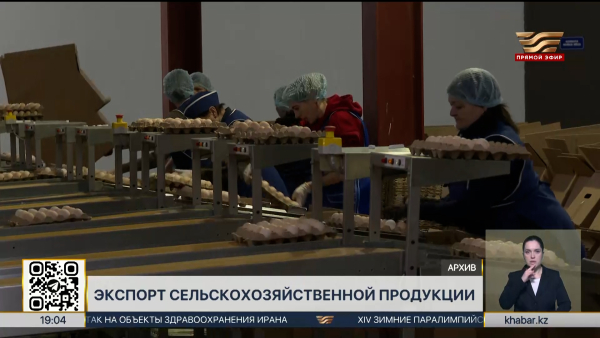 Казахстан не будет вводить запрет на экспорт картофеля