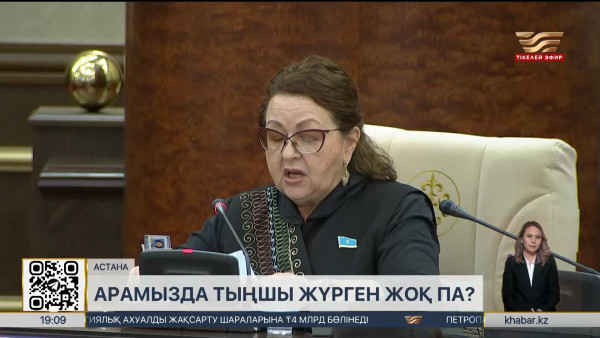 Депутат &laquo;Шетел агенті&raquo; туралы заң жобасын дайындауды ұсынды