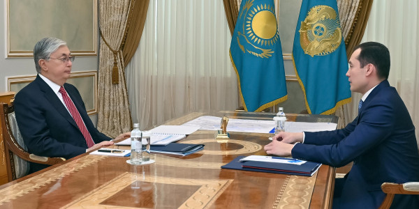 Глава государства принял председателя правления АО &laquo;НК &laquo;QazaqGaz&raquo; Санжара Жаркешова