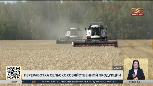 В Казахстане растут объемы переработки сельхозпродукции