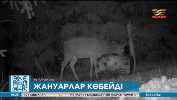 &laquo;Жоңғар Алатауы&raquo; ұлттық паркінде жабайы аң көбейіп келеді