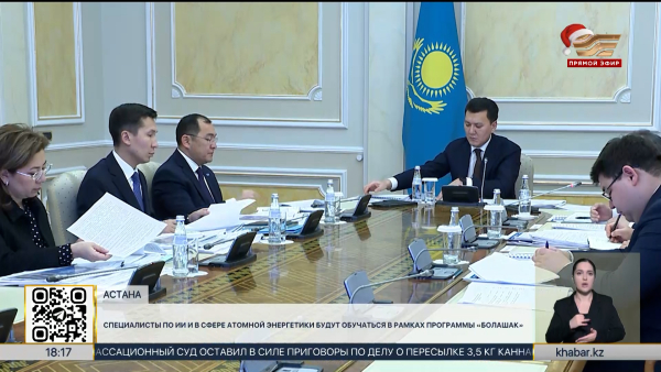 Специалисты по ИИ и в сфере атомной энергетики будут обучаться в рамках программы «Болашак»