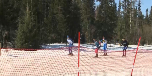 В Риддере проходят последние в этом сезоне состязания по лыжным гонкам