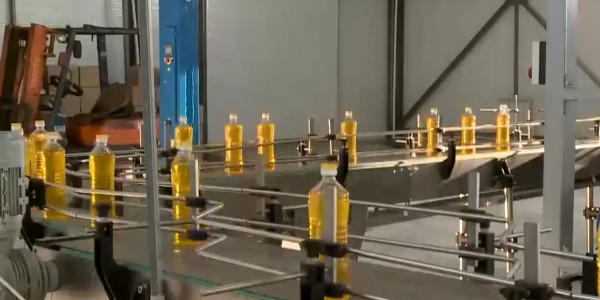 Рост цен на подсолнечное масло в Костанайской области: как изменить ситуацию?