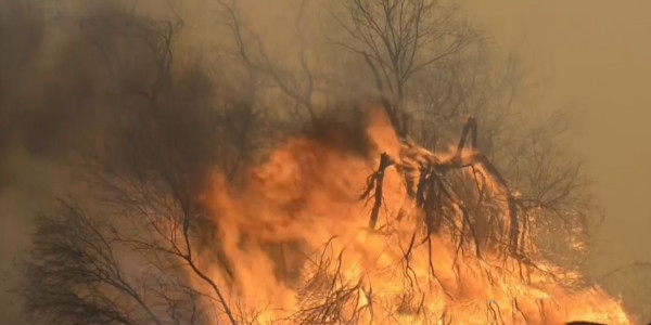 В предгорьях Тянь-Шаня объявлен высокий класс пожарной опасности