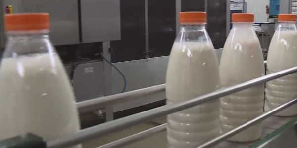 Қостанайлық сүт өнімдері Қытайға экспортталады