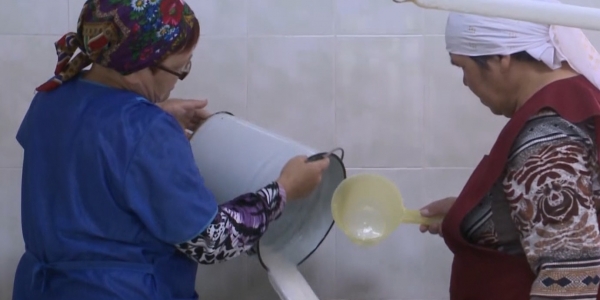 10 хозяйств Челябинской области занимаются производством кумыса