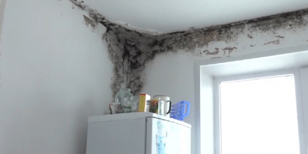 Ақсулық көпбалалы аналар жалдамалы пәтерлердің сапасына наразы