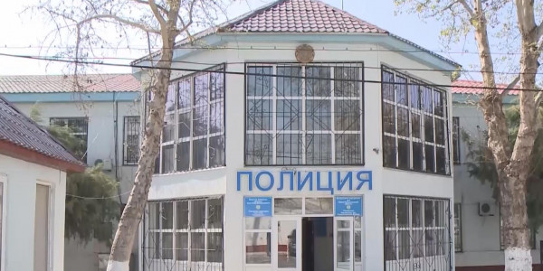 5 жасар қыздың өлімі: Президент оқиғаның мән-жайын мұқият тексеруді тапсырды