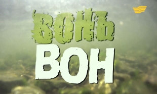 &laquo;Бюро расследований&raquo;. Вонь вон