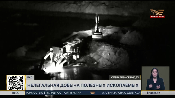 Иностранцев за незаконную добычу полезных ископаемых задержали в ВКО