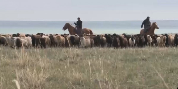 Земельные участки в Казахстане будут предоставлять в электронном формате