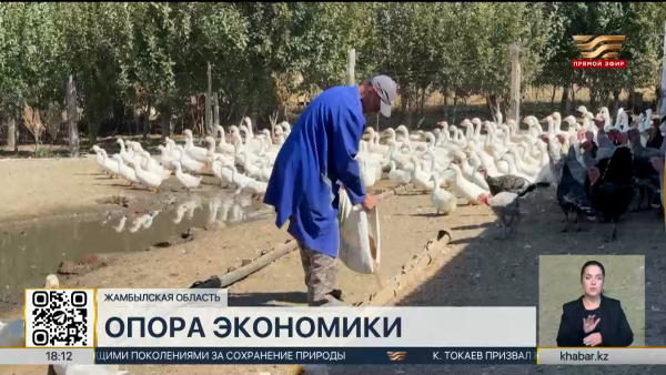 Более 4,5 млн человек занято в МСП в Казахстане