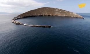 &laquo;Тур де Хабар&raquo;. Галапагос аралдары