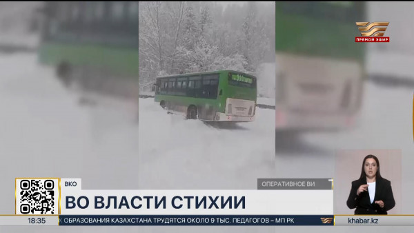 Спасатели вызволили из снежного плена водителей на трассе в ВКО