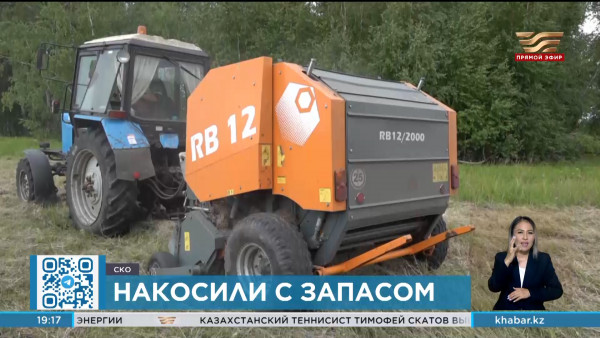 980 тысяч тонн сена заготовили в СКО