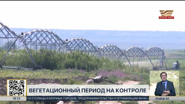 Несанкционированные посевы влагоемких культур выявили в Туркестанской области