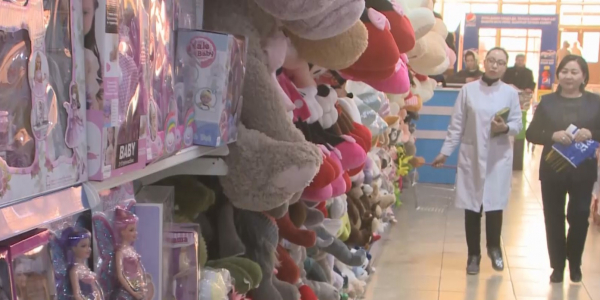 Сыр өңіріндегі қауіпті ойыншықтар анықталды