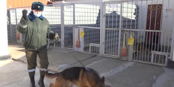 Өжет қыз-келіншектер шекара қызметін жігіттермен бірдей атқарып жүр