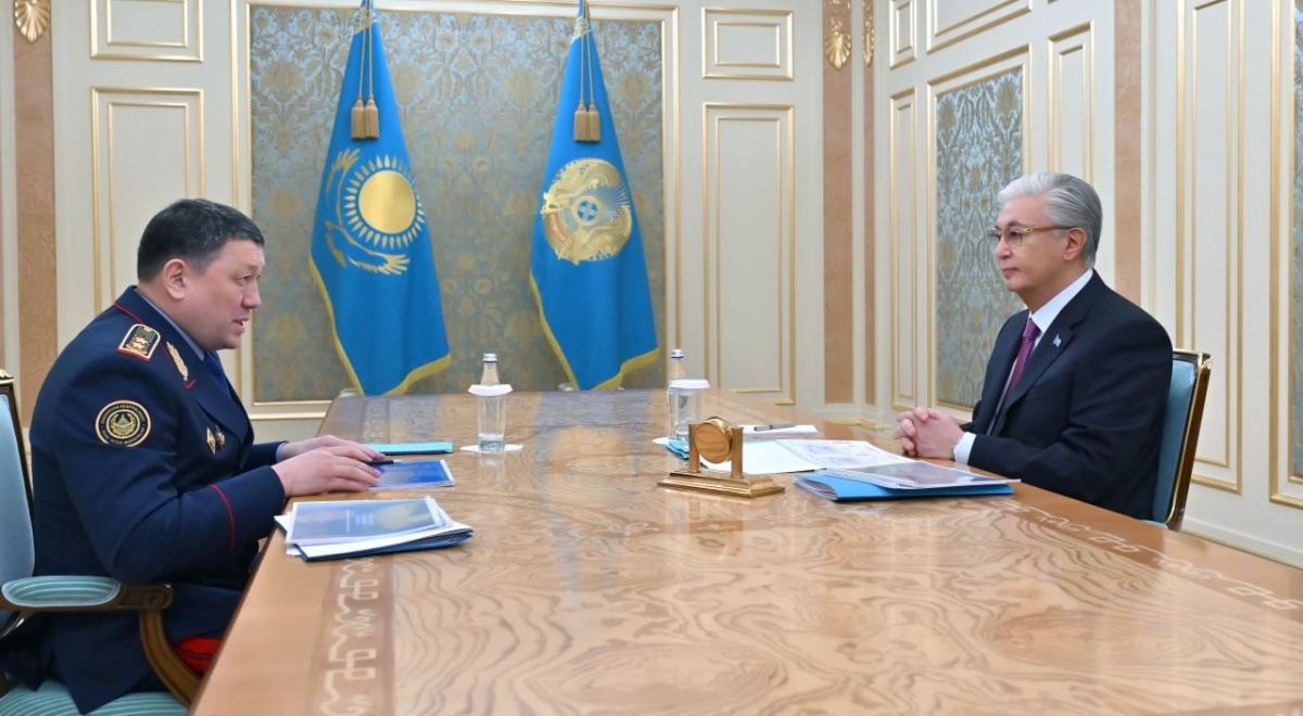 Глава государства принял министра внутренних дел Ержана Саденова